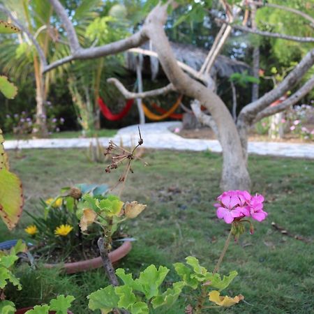 Cartago Bay Villa Puerto Villamil Exterior photo